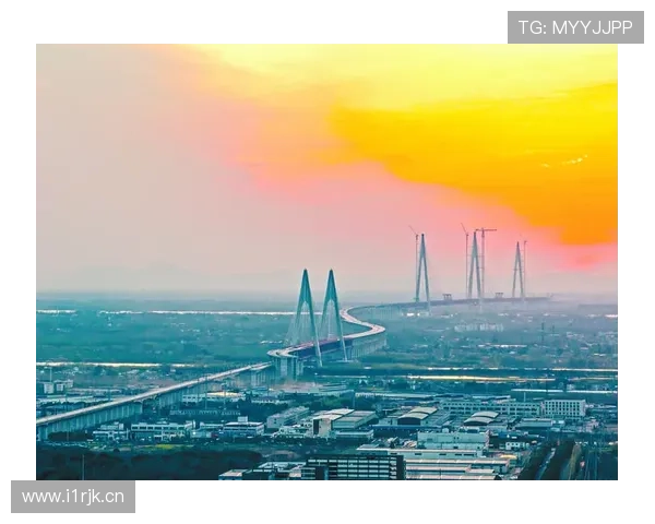 国寿企业家助力高质量发展共创中国经济新格局